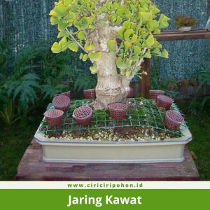Jaring Kawat