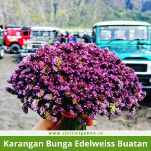 Karangan Bunga Edelweiss Buatan